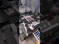 55236 Papier, op maat gesneden, waterdicht, acryl dubbelzijdig, 0,12 mm dik